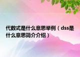 代數(shù)式是什么意思舉例（dss是什么意思簡(jiǎn)介介紹）