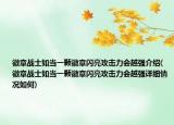 徽章戰(zhàn)士如當(dāng)一顆徽章閃亮攻擊力會越強(qiáng)介紹(徽章戰(zhàn)士如當(dāng)一顆徽章閃亮攻擊力會越強(qiáng)詳細(xì)情況如何)