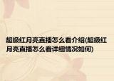 超級紅月亮直播怎么看介紹(超級紅月亮直播怎么看詳細(xì)情況如何)