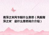 青萍之末風(fēng)乍起什么意思（風(fēng)起青萍之末’是什么意思簡(jiǎn)介介紹）