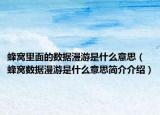 蜂窩里面的數(shù)據(jù)漫游是什么意思（蜂窩數(shù)據(jù)漫游是什么意思簡(jiǎn)介介紹）