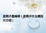 皮燕子是啥?。ㄆぱ嘧邮裁垂：喗榻榻B）