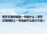 蒼茫云海間前面一句是什么（蒼茫云海間的上一句詩是什么簡(jiǎn)介介紹）