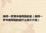 南柯一夢其中南柯指的是（南柯一夢中南柯指的是什么簡介介紹）