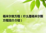 楊米爾茲方程（什么是楊米爾斯方程簡介介紹）