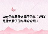 wey的車是什么牌子的車（WEY是什么牌子的車簡介介紹）