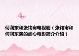 何潤(rùn)東和張鈞甯電視?。◤堚x甯和何潤(rùn)東演的虐心電影簡(jiǎn)介介紹）
