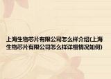 上海生物芯片有限公司怎么樣介紹(上海生物芯片有限公司怎么樣詳細(xì)情況如何)