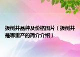 扳倒井品種及價格圖片（扳倒井是哪里產(chǎn)的簡介介紹）