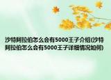 沙特阿拉伯怎么會有5000王子介紹(沙特阿拉伯怎么會有5000王子詳細(xì)情況如何)
