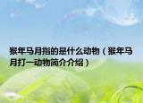 猴年馬月指的是什么動物（猴年馬月打一動物簡介介紹）