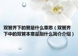 雙管齊下的管是什么意思（雙管齊下中的雙管本意是指什么簡(jiǎn)介介紹）