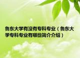 魯東大學(xué)有沒有?？茖I(yè)（魯東大學(xué)專科專業(yè)有哪些簡(jiǎn)介介紹）