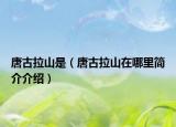 唐古拉山是（唐古拉山在哪里簡介介紹）