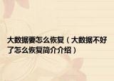 大數(shù)據(jù)要怎么恢復(fù)（大數(shù)據(jù)不好了怎么恢復(fù)簡(jiǎn)介介紹）