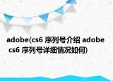 adobe(cs6 序列號介紹 adobe  cs6 序列號詳細(xì)情況如何)