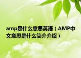 amp是什么意思英語（AMP中文意思是什么簡介介紹）
