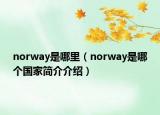 norway是哪里（norway是哪個(gè)國(guó)家簡(jiǎn)介介紹）