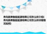青島新奧智能能源有限公司怎么樣介紹(青島新奧智能能源有限公司怎么樣詳細情況如何)