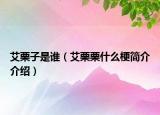 艾栗子是誰（艾栗栗什么梗簡介介紹）