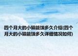 四個(gè)月大的小貓能餓多久介紹(四個(gè)月大的小貓能餓多久詳細(xì)情況如何)