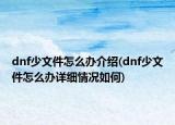 dnf少文件怎么辦介紹(dnf少文件怎么辦詳細(xì)情況如何)