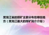 黑龍江省的煤礦主要分布在哪些地方（黑龍江最大的煤礦簡介介紹）