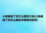 小孩被撞了改怎么賠償介紹(小孩被撞了改怎么賠償詳細情況如何)