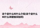 這個是什么叫什么介紹(這個是什么叫什么詳細情況如何)