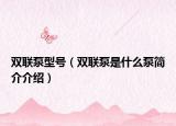 雙聯(lián)泵型號（雙聯(lián)泵是什么泵簡介介紹）