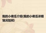 我的小傻瓜介紹(我的小傻瓜詳細情況如何)