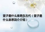 豎子是什么意思在古代（豎子是什么意思簡(jiǎn)介介紹）