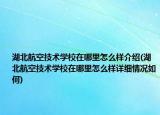湖北航空技術(shù)學(xué)校在哪里怎么樣介紹(湖北航空技術(shù)學(xué)校在哪里怎么樣詳細(xì)情況如何)