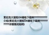 索尼克大冒險DX哪有下載啊????????????介紹(索尼克大冒險DX哪有下載啊????????????詳細情況如何)