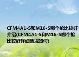 CFM4A1-S和M16-S哪個(gè)槍比較好介紹(CFM4A1-S和M16-S哪個(gè)槍比較好詳細(xì)情況如何)