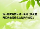 熱火朝天種田忙打一生肖（熱火朝天忙秋收是什么生肖簡介介紹）