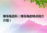 綠毛龜百科（綠毛龜?shù)奶攸c(diǎn)簡介介紹）