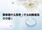 撕番是什么意思（什么叫撕番簡(jiǎn)介介紹）
