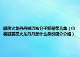 霹靂火龍丹丹被恐怖分子抓是第幾集（電視劇霹靂火龍丹丹是什么身份簡介介紹）