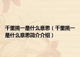 千里挑一是什么意思（千里挑一是什么意思簡介介紹）