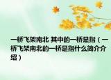 一橋飛架南北 其中的一橋是指（一橋飛架南北的一橋是指什么簡介介紹）