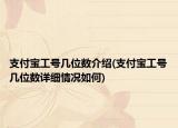 支付寶工號幾位數(shù)介紹(支付寶工號幾位數(shù)詳細情況如何)