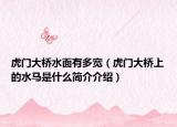 虎門大橋水面有多寬（虎門大橋上的水馬是什么簡(jiǎn)介介紹）