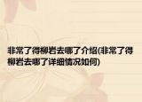 非常了得柳巖去哪了介紹(非常了得柳巖去哪了詳細情況如何)