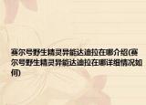 賽爾號野生精靈異能達(dá)迪拉在哪介紹(賽爾號野生精靈異能達(dá)迪拉在哪詳細(xì)情況如何)