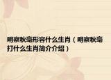 明察秋毫形容什么生肖（明察秋毫打什么生肖簡(jiǎn)介介紹）
