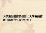大學(xué)生當(dāng)前首要任務(wù)（大學(xué)生的首要任務(wù)是什么簡介介紹）