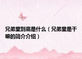 兄弟堂到底是什么（兄弟堂是干嘛的簡介介紹）