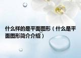 什么樣的是平面圖形（什么是平面圖形簡(jiǎn)介介紹）
