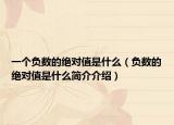 一個(gè)負(fù)數(shù)的絕對(duì)值是什么（負(fù)數(shù)的絕對(duì)值是什么簡(jiǎn)介介紹）